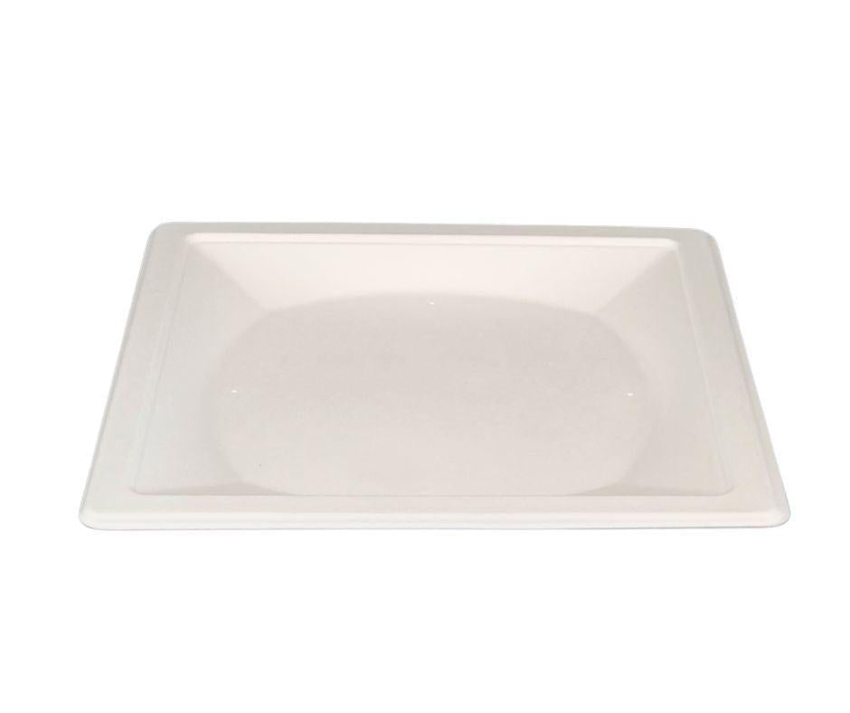 10" Baggasse Square Paper Plates 10X50ct-Eco Craze