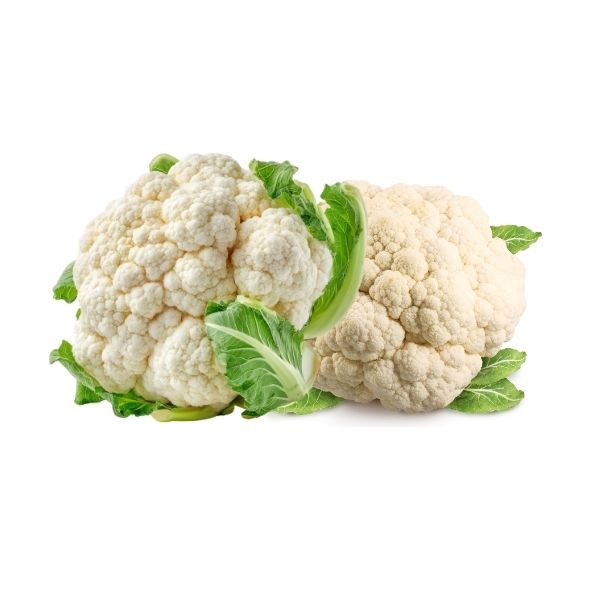 Fresh cauliflower in bulk case of 9 to 12 heads for food service