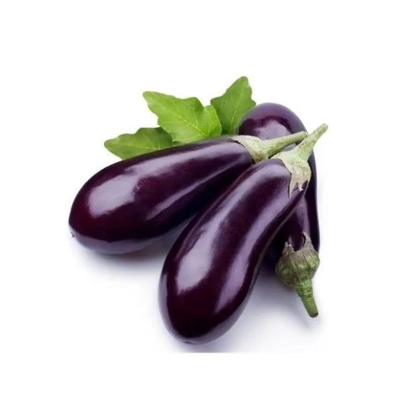 Fresh eggplant in bulk 20 lb box for food service