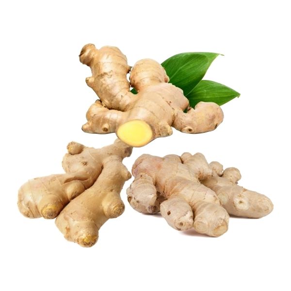 Fresh ginger root in bulk 30 lb box for food service