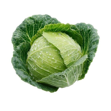 Green Cabbage Bulk Case | 12 Heads per Case