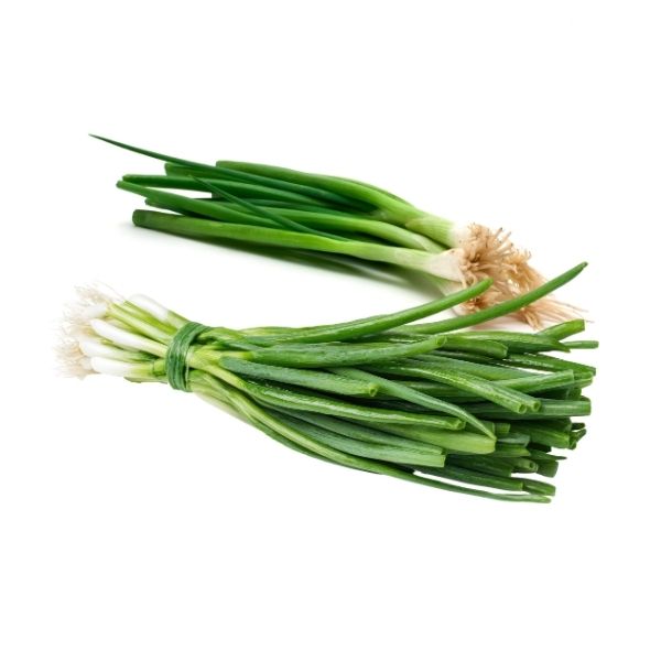 Fresh green onions in bulk 48 count case for food service