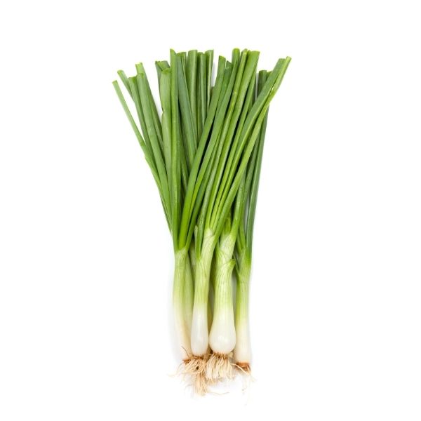 Bulk green onions scallions for restaurants and commercial kitchens