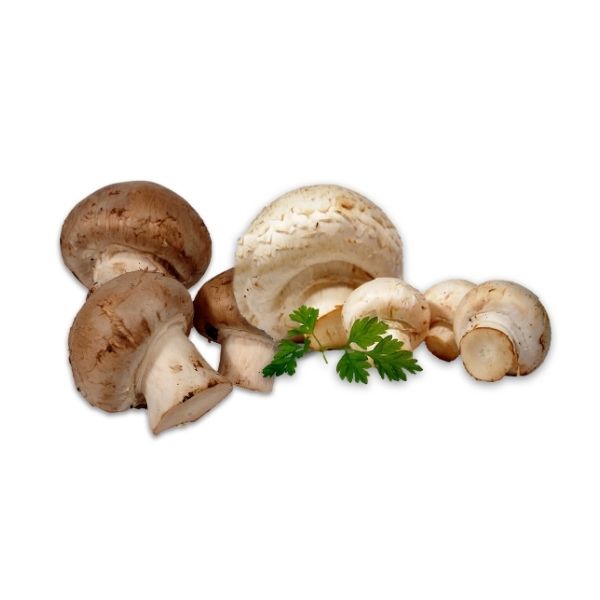 Bulk whole white mushrooms for restaurants and commercial kitchens