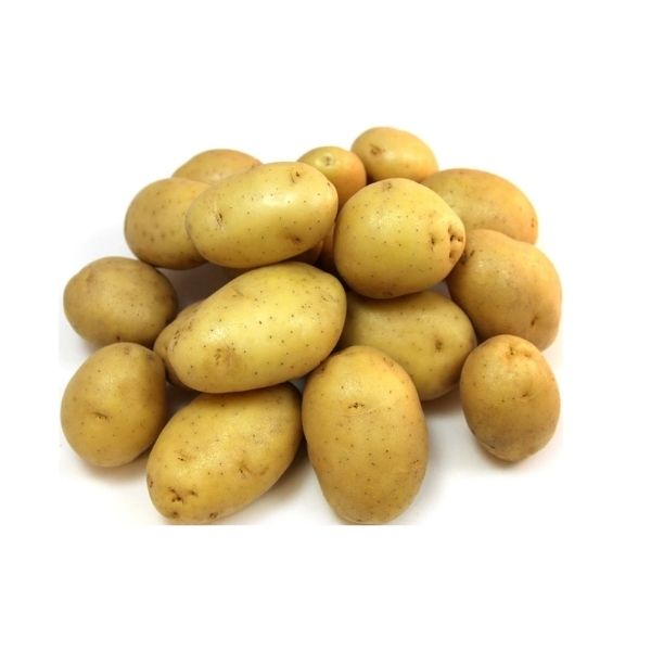 Fresh yellow Yukon gold potatoes in bulk 50 lb bag for food service