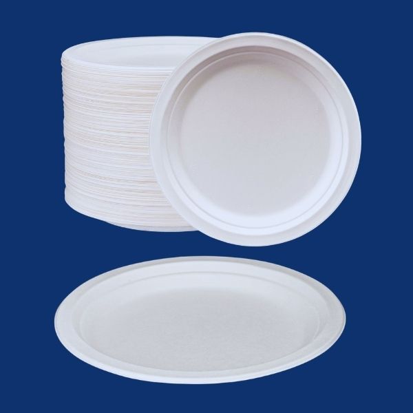 9 inch compostable bagasse plate top view