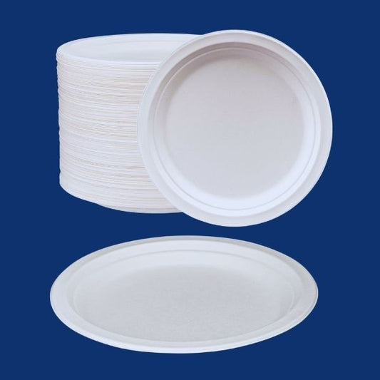 9 inch compostable bagasse plate top view