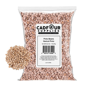 pinto beans 5kg bulk bag
