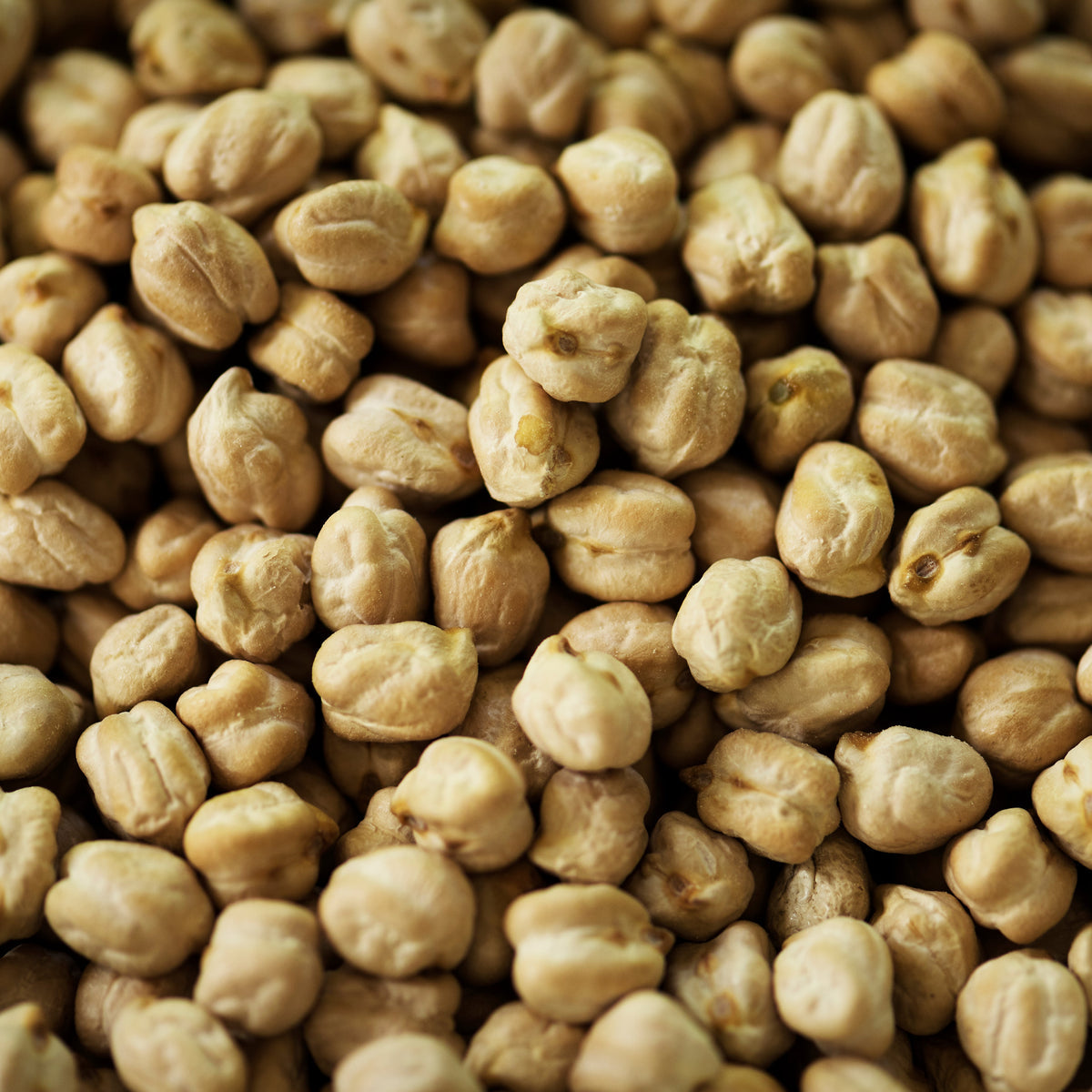 White chickpeas 9mm bulk