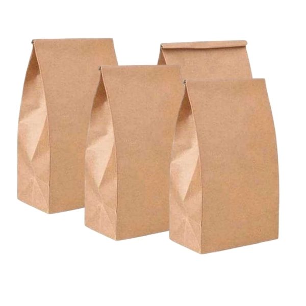 KRAFT EZ Carry Paper Bags (12x7x17") with four natural bags shown in front against white background