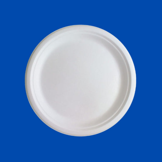 10" Heavy Duty Paper Plates 500 Count | Cadfour Supplies