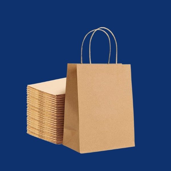 EZ Carry kraft paper bags 250 pcs packaging CEZ112
